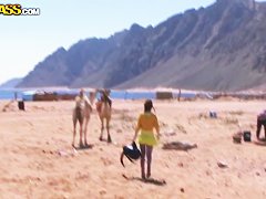 Tourists wanted to have some extraordinary during their vacation