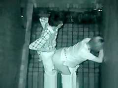 oriental pair outdoor fine sex