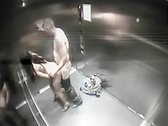 Elevator enjoyment receives caught
