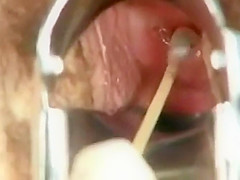 Exam for student - Rs. 1500 solely 1 hour sex visit escortsjaipur.co.in