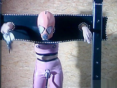 Gimp gal locked in box and pillory