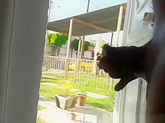 Lad strokes his shlong behind door