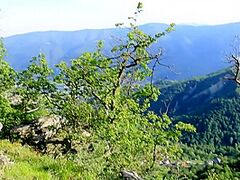 Mountain Hike Ends With Cum In Face Hole On The Rocks