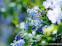 Solo Traveller with Polina Pafio - SuperbeModels