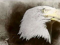 Brute Mode Activated 10 Min