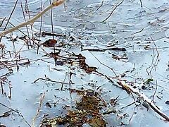 Local Legends (a Bare Travel)