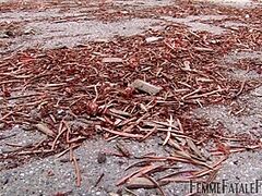 Mistresse Eleise - Smoke Training