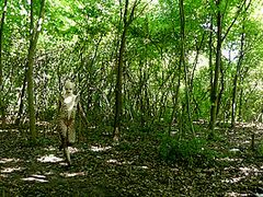 Supple In Nature - Watch4Fetish