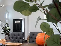 Pumpkin Fucking Stepbro - SpyFam