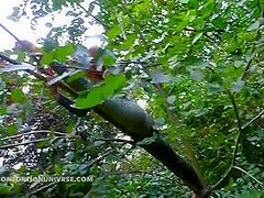 Acrobatics Hidden In The Forest - Watch4Fetish