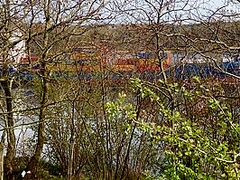 Tinder Gal Screwed Outdoor In Public Nature On A Biketour