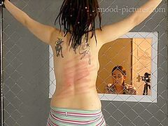 The Milgram Experiment 1