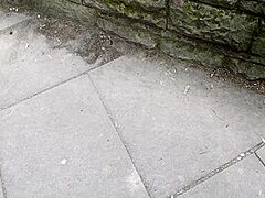 Big Beautiful Woman Cutie Give Ideal Sloppy Tugjob In A Park - Risky And Sloppy :p