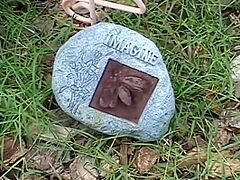 American College Xxx - Vol (4) - (original Version In Hd