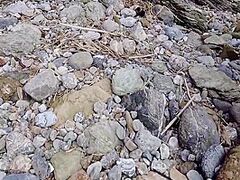 Pickup On The Beach Ended With An Fuckfest In A Public Place! 11 Min