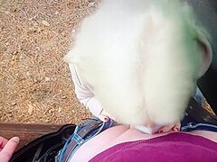 Opasni Minet V Ludnom Meste V Lesu I Konchil