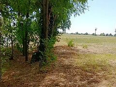 Facciamo Una Passeggiata Nel Bosco Zoccola!