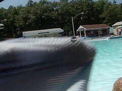 Some Greater Quantity Nudes a Poppin Footage