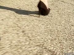 Hollis Ireland - Paparazzi Upskirts