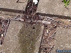 Barefaced Japanese Legal Age Teenagers Pissing