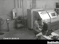 Co workers masturbating in excited office warehouse