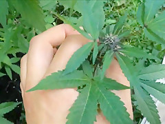 CUTE GOLDEN-HAIRED POV IRRUMATION IN THE GARDEN