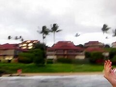 Virtual Vacation In Hawaii With Ashlynn Taylor Part 1