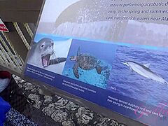 Virtual Vacation In Hawaii With Jillian Janson Part 6