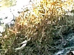 Mamada En El Lago En Publico 6 Min