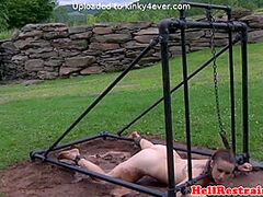 Restrained Gal Acquires Teat Tormented