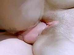 2 Breasty French Hotties Hardfucked On The Beach