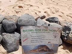 Pull Over And Finger Her Untill This Babe Squirts Everywhere