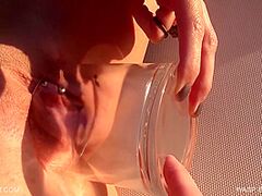 Queensect Wasp Experiment three