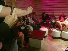 Wonderful Puppy - Kink