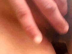 Oriental Beauty 17352