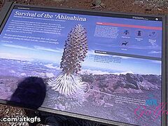 Summer Vixen in Virtual Vacation Clip - AtkGirlfriends