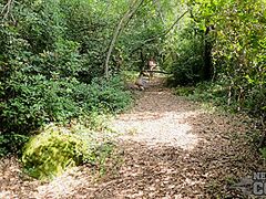 On Vacation Hiking Hude Outdoors With Rebeka Ruby And Cheri Abandoned Island