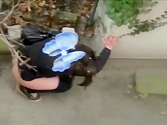 Butterfly beauty filmed during the time that taking a wizz