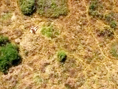 Undressed boy loves boning beauties on the sunny weekend