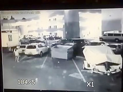 Surveillance camera films the despairing cutie taking a urinate