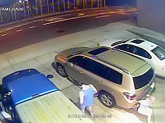 Hopeless fillies relieving themselves behind their cars