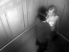 Security Camera Caught Exhibitionist Pair Fucking in Elevator