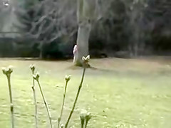 Pair Filmed by Ally Fucking in the Woods