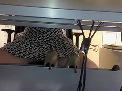 My co-worker's marvelous couple of legs