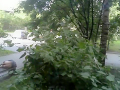 Bootylicious chick wakes up on the bench