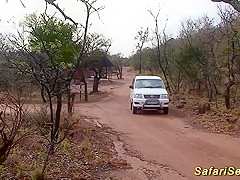 hawt sex at my african safari journey