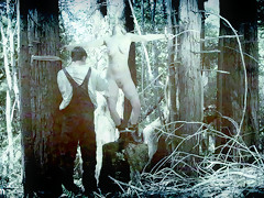 Veruca James & Cherry Torn & The Pope in Deception - A Dream Feature W/ Veruca James & Cherry Torn - HogTied