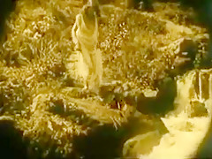 Naked Woman By Waterfall 1921