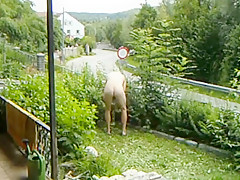 nudic working in the Garden