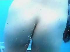 Greatest Beach, Spy Web Camera, Dilettante Scene Ever Seen